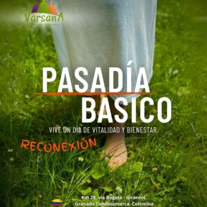Pasadia basico