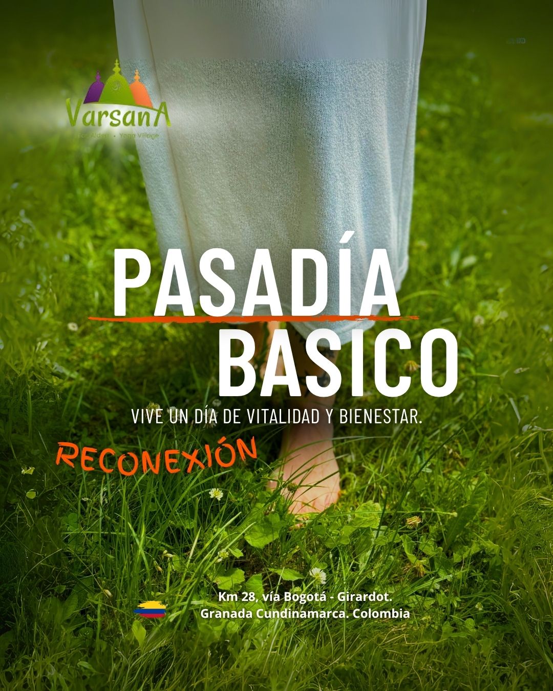 Pasadia basico